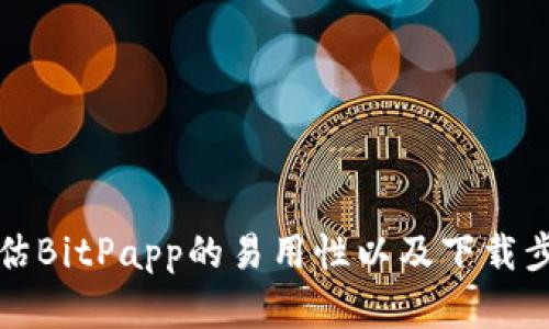 如何评估BitPapp的易用性以及下载步骤详解