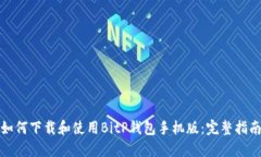 如何下载和使用BitP钱包手机版：完整