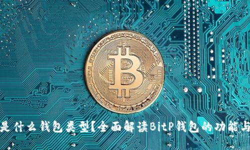 BitP是什么钱包类型？全面解读BitP钱包的功能与优势