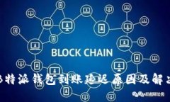 解密B特派钱包到账延迟原因及解决方