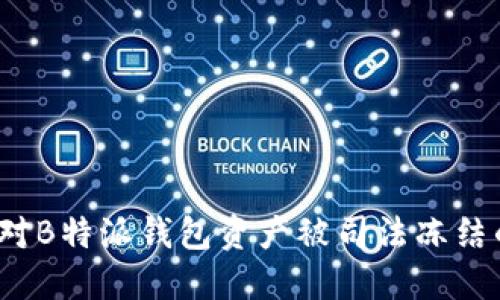 如何应对B特派钱包资产被司法冻结的情况？