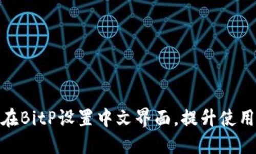 如何在BitP设置中文界面，提升使用体验