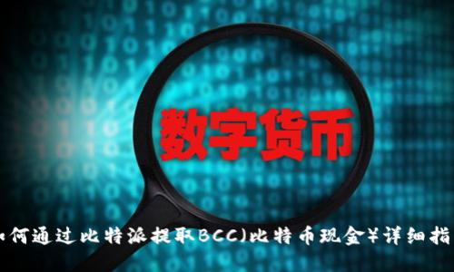 如何通过比特派提取BCC（比特币现金）详细指南