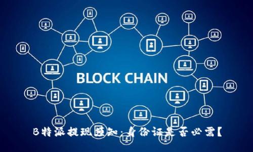 B特派提现须知：身份证是否必需？