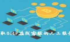 如何快速获取BitP在线客服的人工服务
