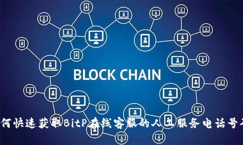 如何快速获取BitP在线客服的人工服务电话号码?