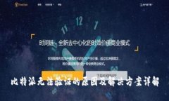 比特派无法验证的原因及解决方案详解