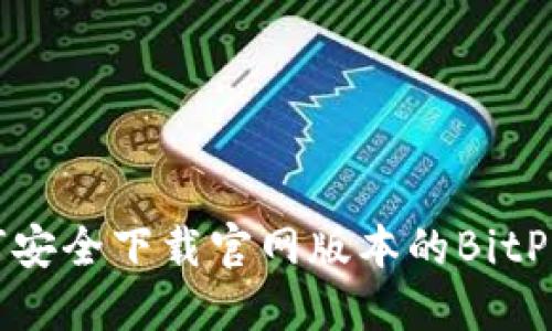 如何安全下载官网版本的BitP钱包