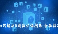 如何解决B特派认证问题：全面指南