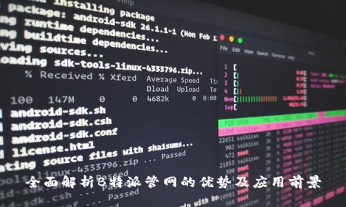 全面解析B特派管网的优势及应用前景
