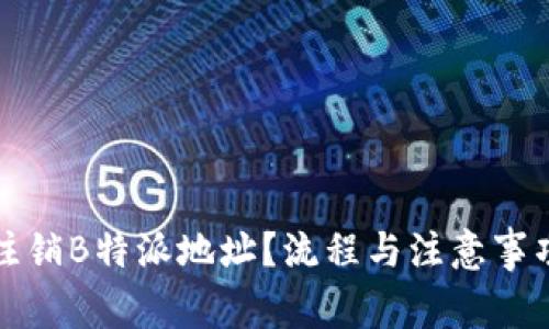 如何注销B特派地址?流程与注意事项详解