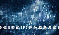 如何查询B特派IP？详细指南与实用技巧