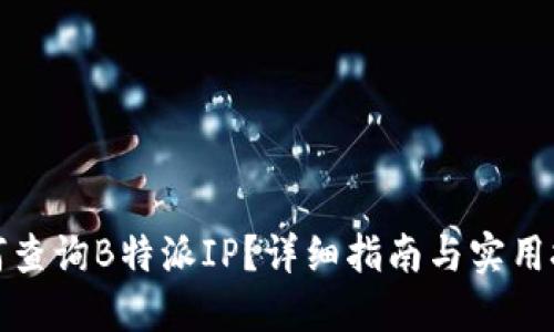 如何查询B特派IP?详细指南与实用技巧