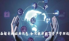 全面解析地址脑钱包：如何提升数字资