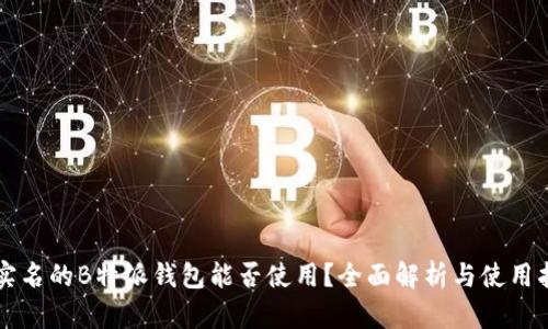 不实名的B特派钱包能否使用?全面解析与使用指南