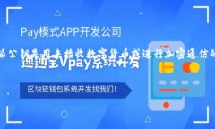 特派公钥（B Public Key）是指在区块链和