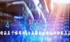 比特派是干嘛用的？全面解析比特派的