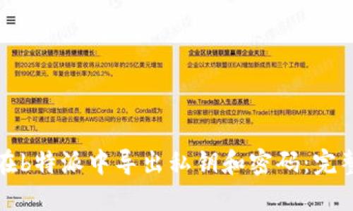 如何在b特派中导出私钥和密码:完整指南