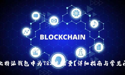 如何在比特派钱包中为TRX充能量?详细指南与常见问题解答