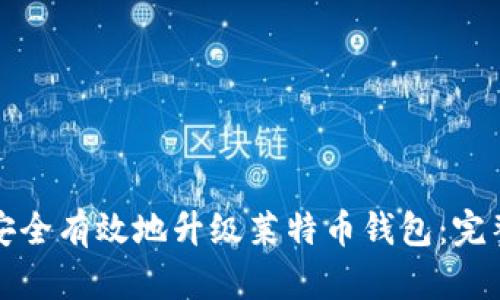 如何安全有效地升级莱特币钱包:完整指南
