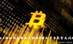 为什么B特派钱包收款不到账？解决方