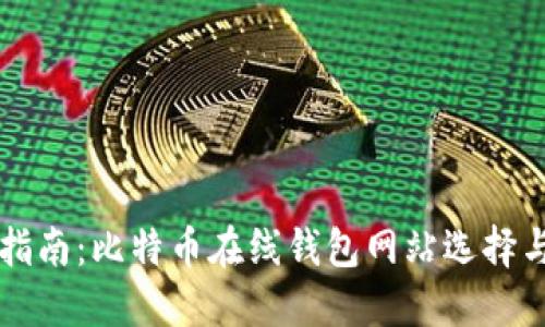 完整指南:比特币在线钱包网站选择与使用