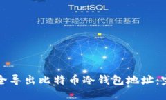 如何安全导出比特币冷钱包地址：完整