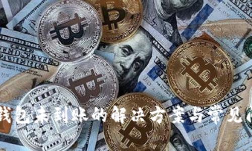莱特币钱包未到账的解决方案与常见问题解析