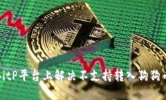 如何在BitP平台上解决不支持转入狗狗