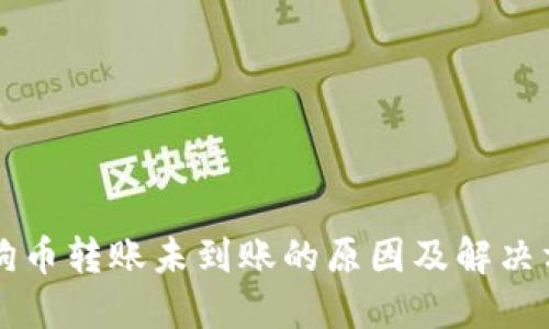 狗狗币转账未到账的原因及解决方法