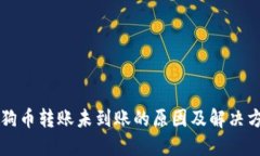 狗狗币转账未到账的原因及解决方法