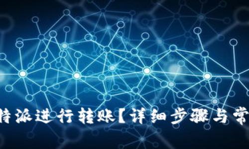 如何使用B特派进行转账?详细步骤与常见问题解答
