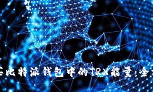如何购买比特派钱包中的TRX能量:全方位指南