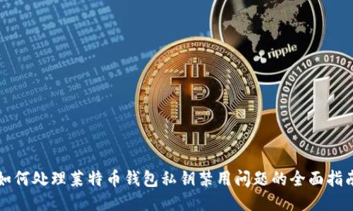 如何处理莱特币钱包私钥禁用问题的全面指南