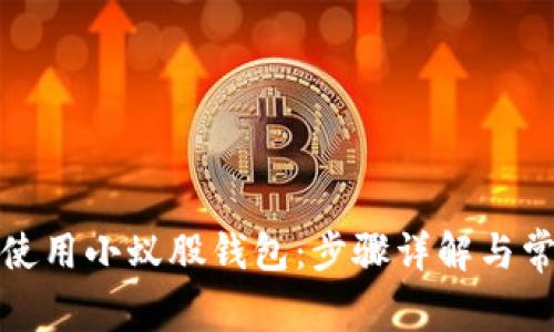 如何创建和使用小蚁股钱包：步骤详解与常见问题解答