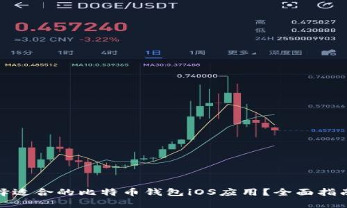 如何选择适合的比特币钱包iOS应用?全面指南与评测