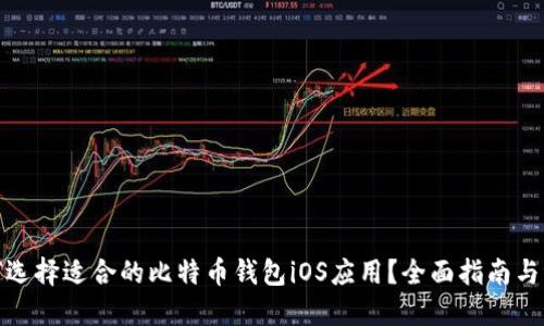 如何选择适合的比特币钱包iOS应用?全面指南与评测