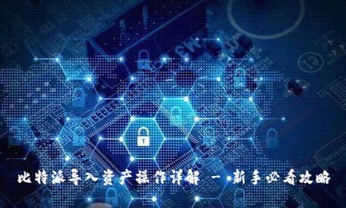 比特派导入资产操作详解 - 新手必看攻略