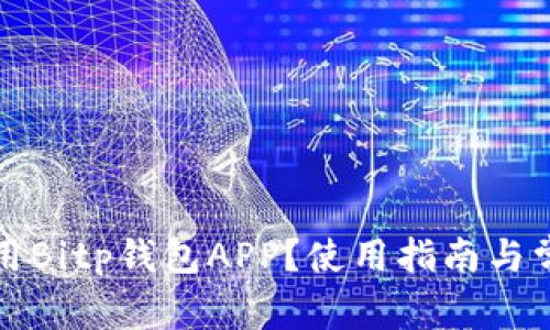 如何安全使用Bitp钱包APP?使用指南与常见问题解答
