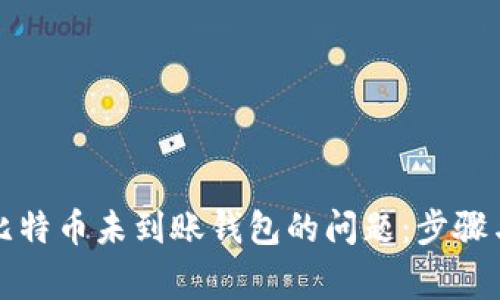 如何解决比特币未到账钱包的问题:步骤与注意事项
