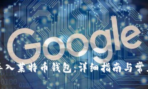如何安全导入莱特币钱包：详细指南与常见问题解析