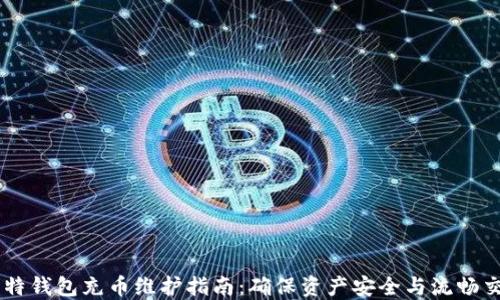 莱特钱包充币维护指南:确保资产安全与流畅交易