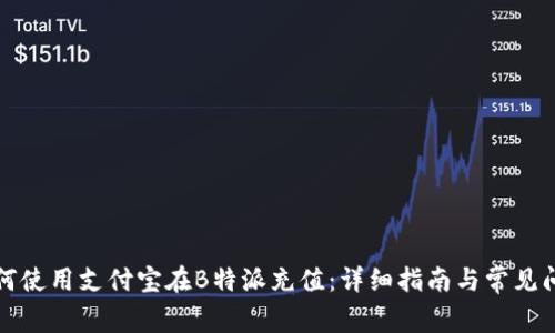 如何使用支付宝在B特派充值:详细指南与常见问题