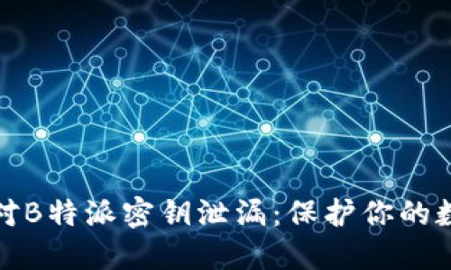 如何应对B特派密钥泄漏:保护你的数据安全