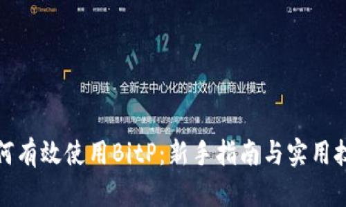 如何有效使用BitP：新手指南与实用技巧