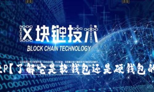 什么是BitP？了解它是软钱包还是硬钱包的全面分析