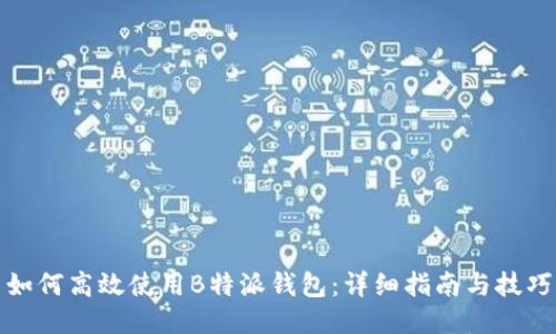 如何高效使用B特派钱包:详细指南与技巧