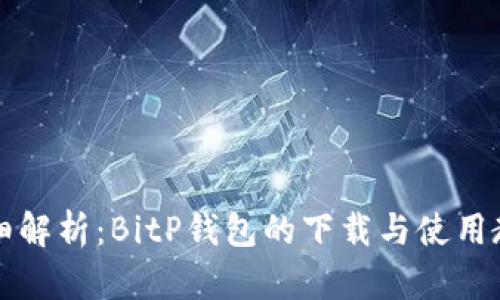 详细解析:BitP钱包的下载与使用教程