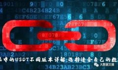 比特派中的USDT不同版本详解：选择适