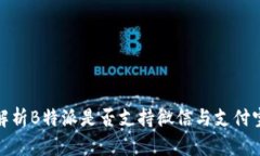 全面解析B特派是否支持微信与支付宝